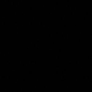 Meet your Posher, Perla